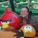 Vijaykumar Krishnan Palghat.