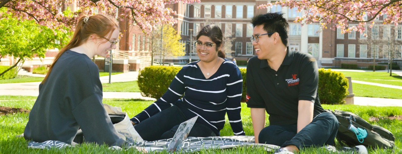 A group of students works on a project together in the lawn of Schneider Quad.