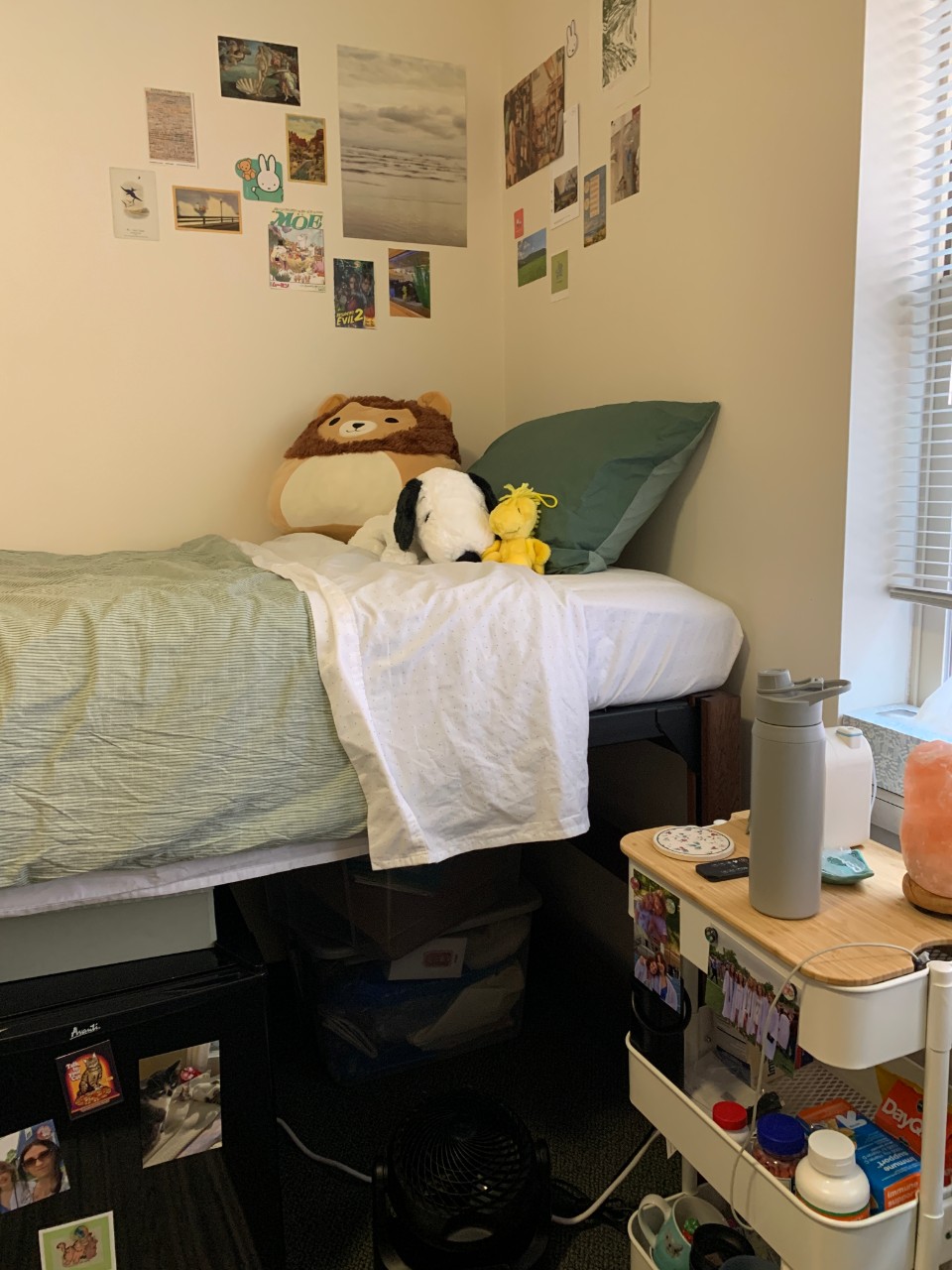 Stratford Heights Campus Life University of Cincinnati