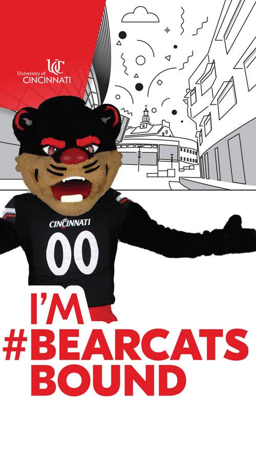 Instagram story image featuring Bearcat mascot