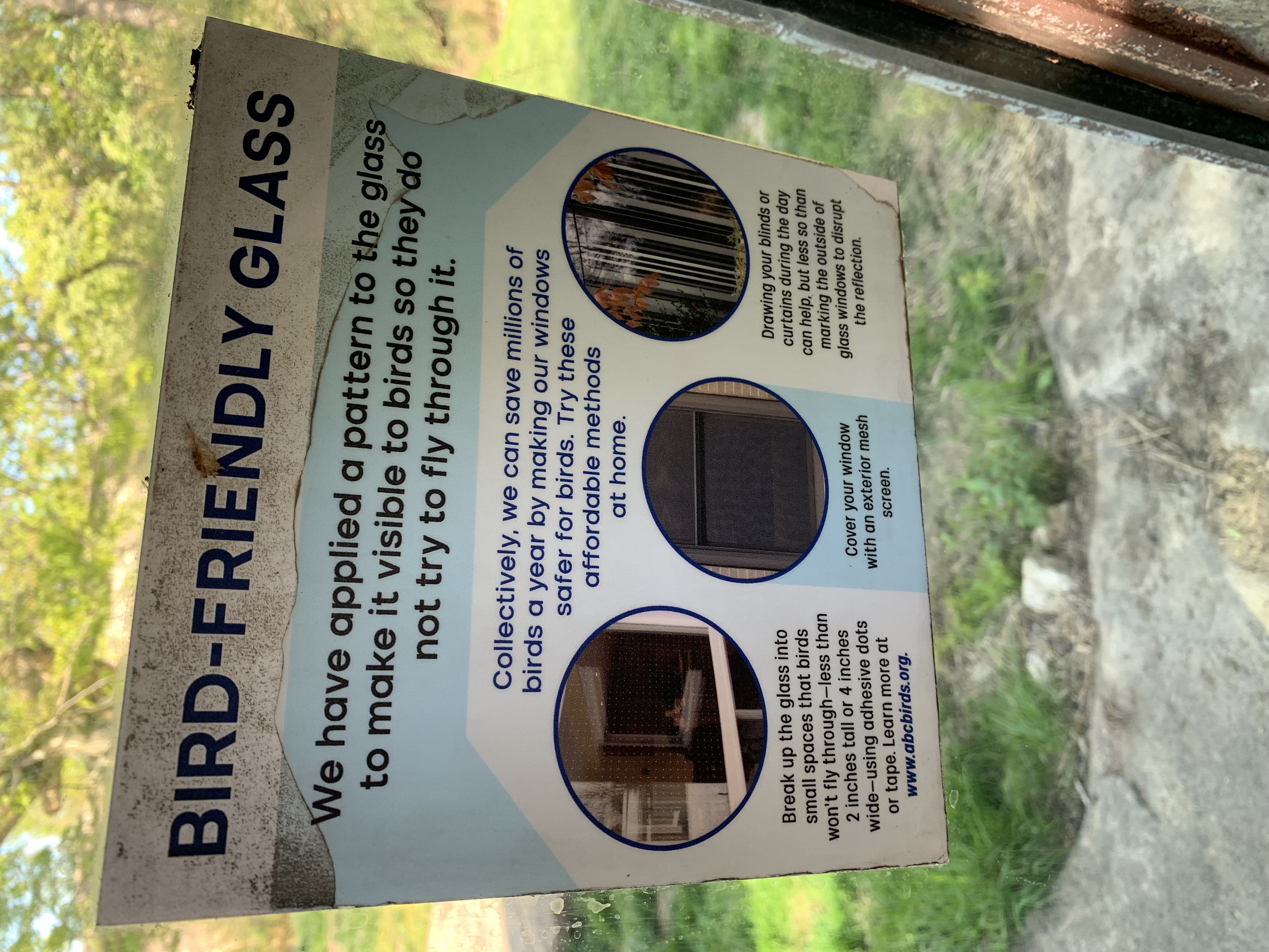 A sign explains: Bird-friendly glass. We have applied a pattern to the glass to make it visible to birds so they do not try to fly through it.