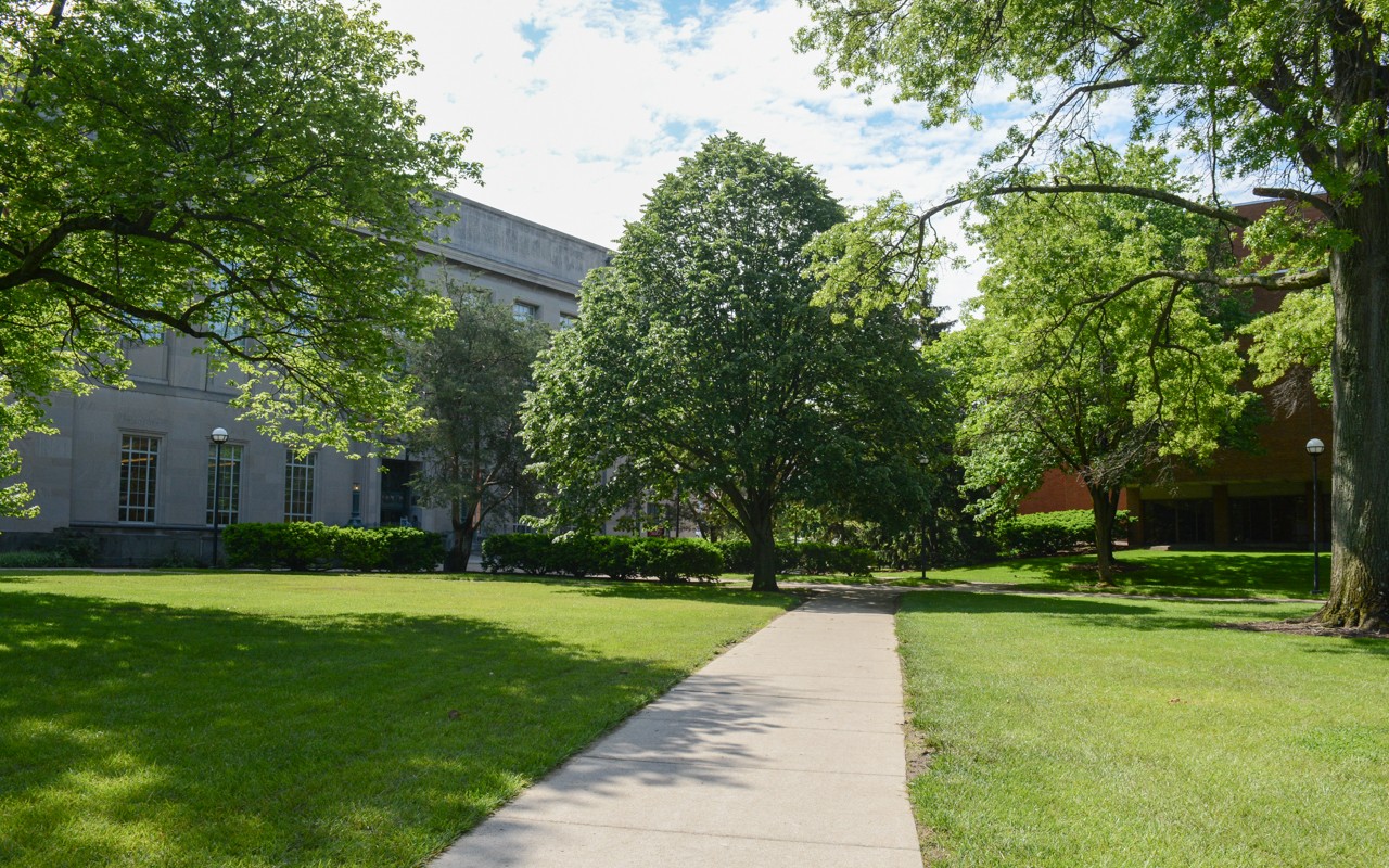green space near Blegan and Law buidings