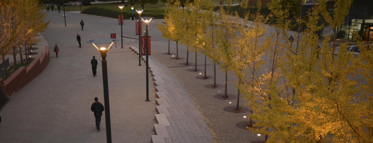 Viewing mainstreet from above at dusk with trees showing green and yellow leaves.