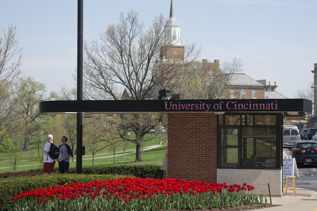 campus scenes, tulips