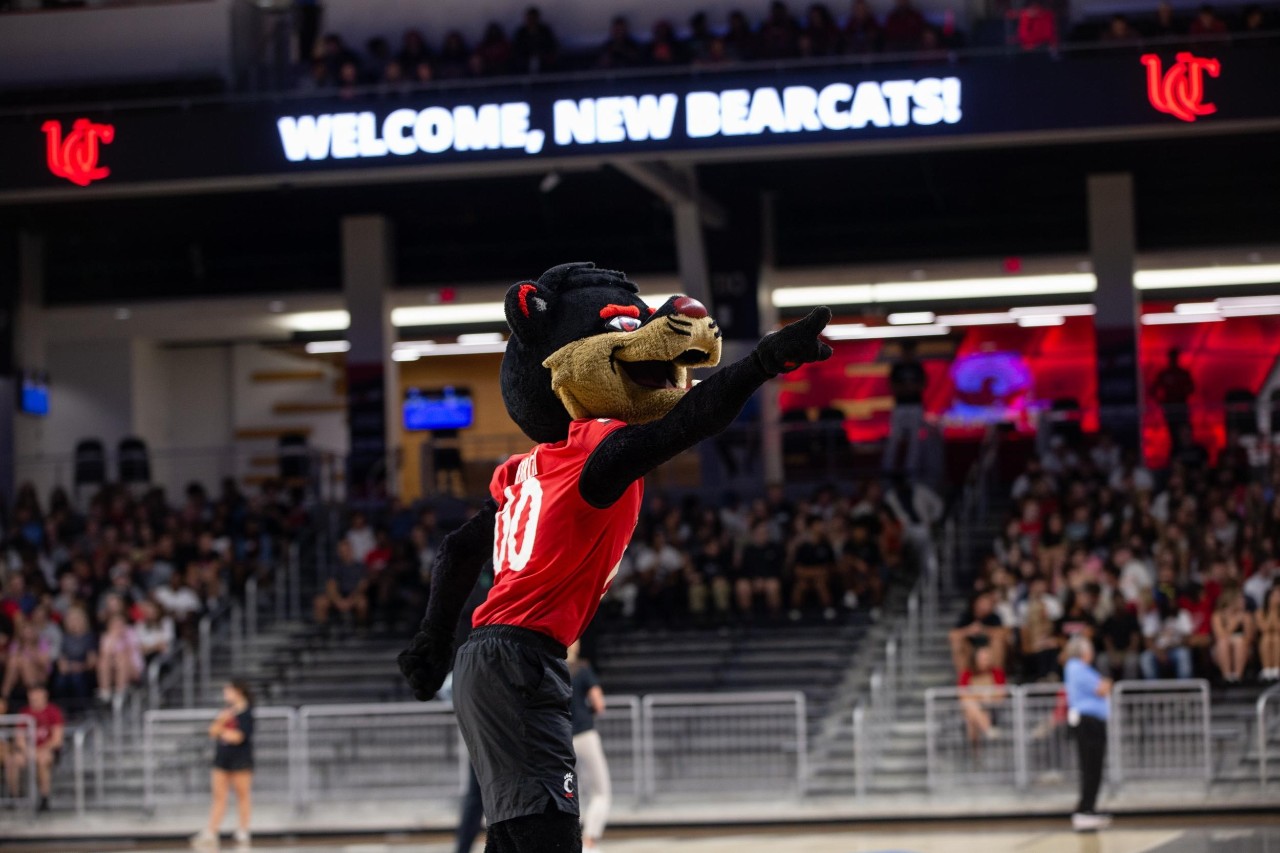 bearcat mascot