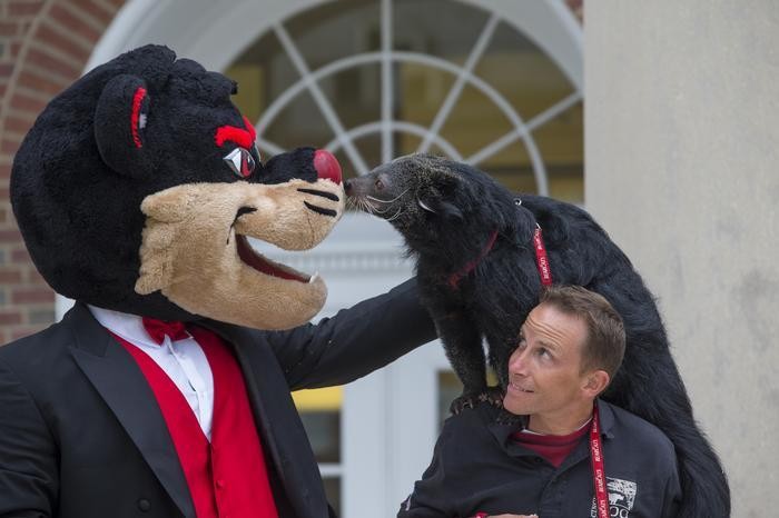 Bearcat, Celebrate
UC celebrates 100th birthday of the bearcats.  Lucy with Mascot at the Bearcats centennial birthday party.