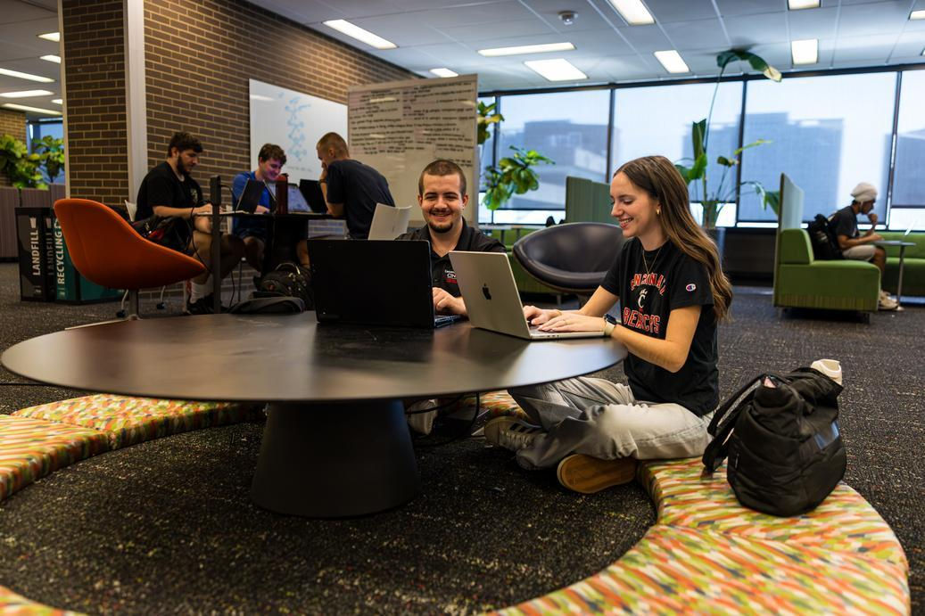 Students seated in a cozy library setting discussing small colleges vs big colleges