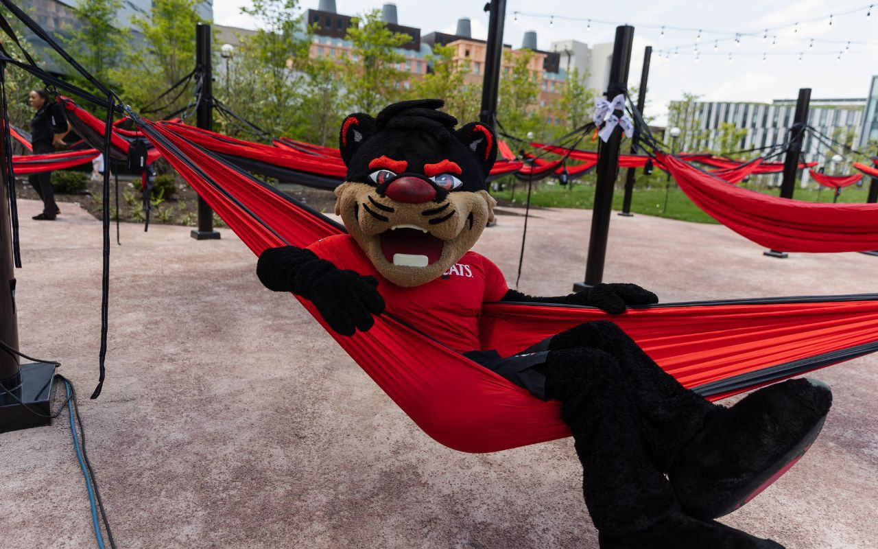 - hammock-hangout