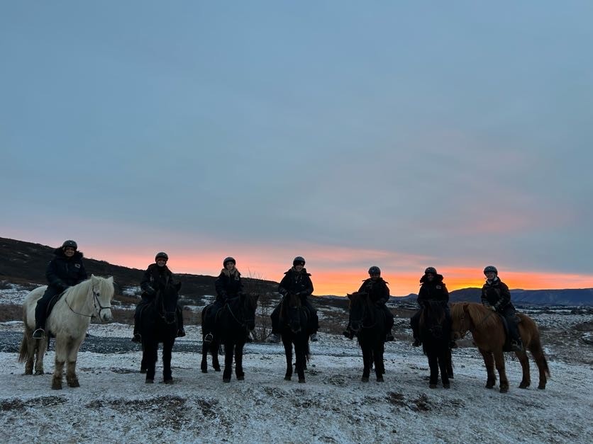 Five female students on horseback in Iceland