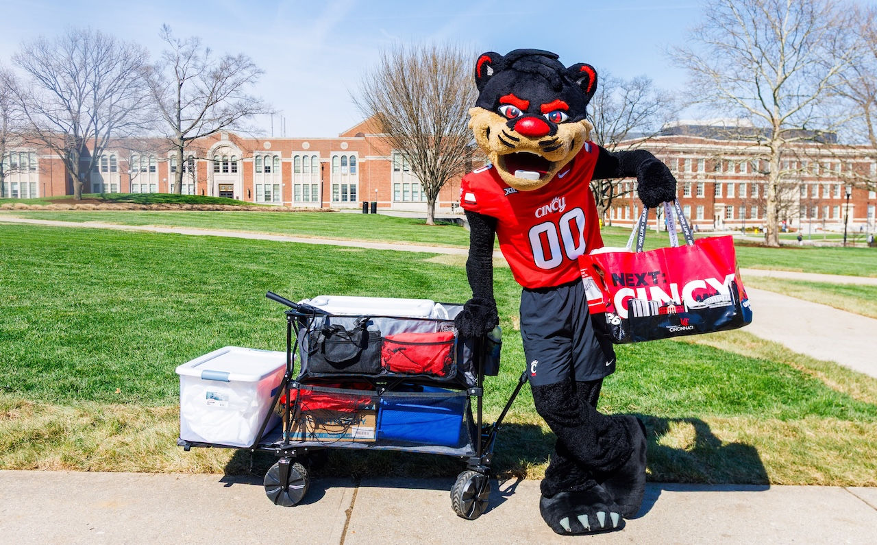 mascot-tote-cart