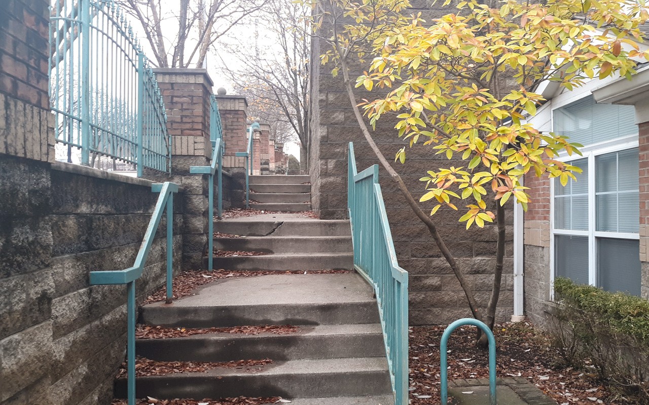 Stairs on the concrete walkway in front of the apartment buildings at Bellevue Gardens. There is a small tree with yellow leaves and windows to an apartment to the right of the stairs.