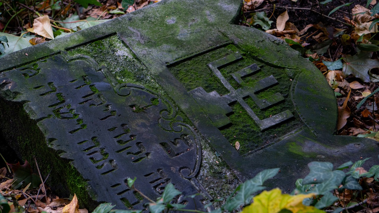 Broken tombstone in an old cemetery. Photo/Michael Stanwick