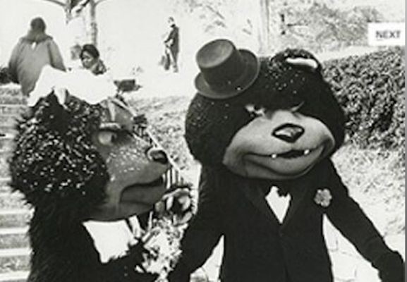 Black and white photo of two Bearcat mascots getting married