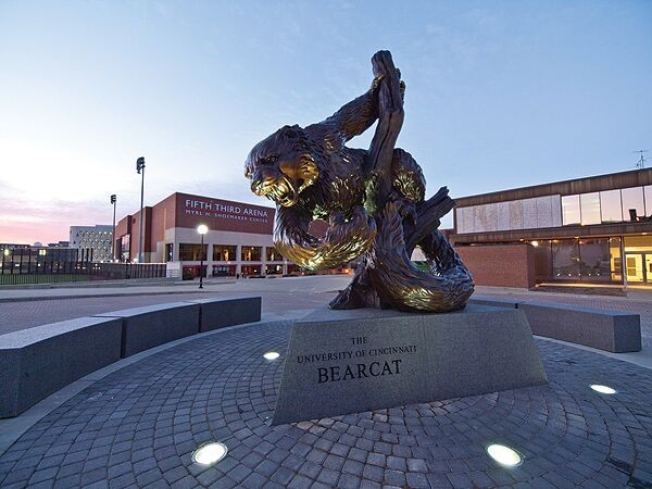 Bronze bearcat statue