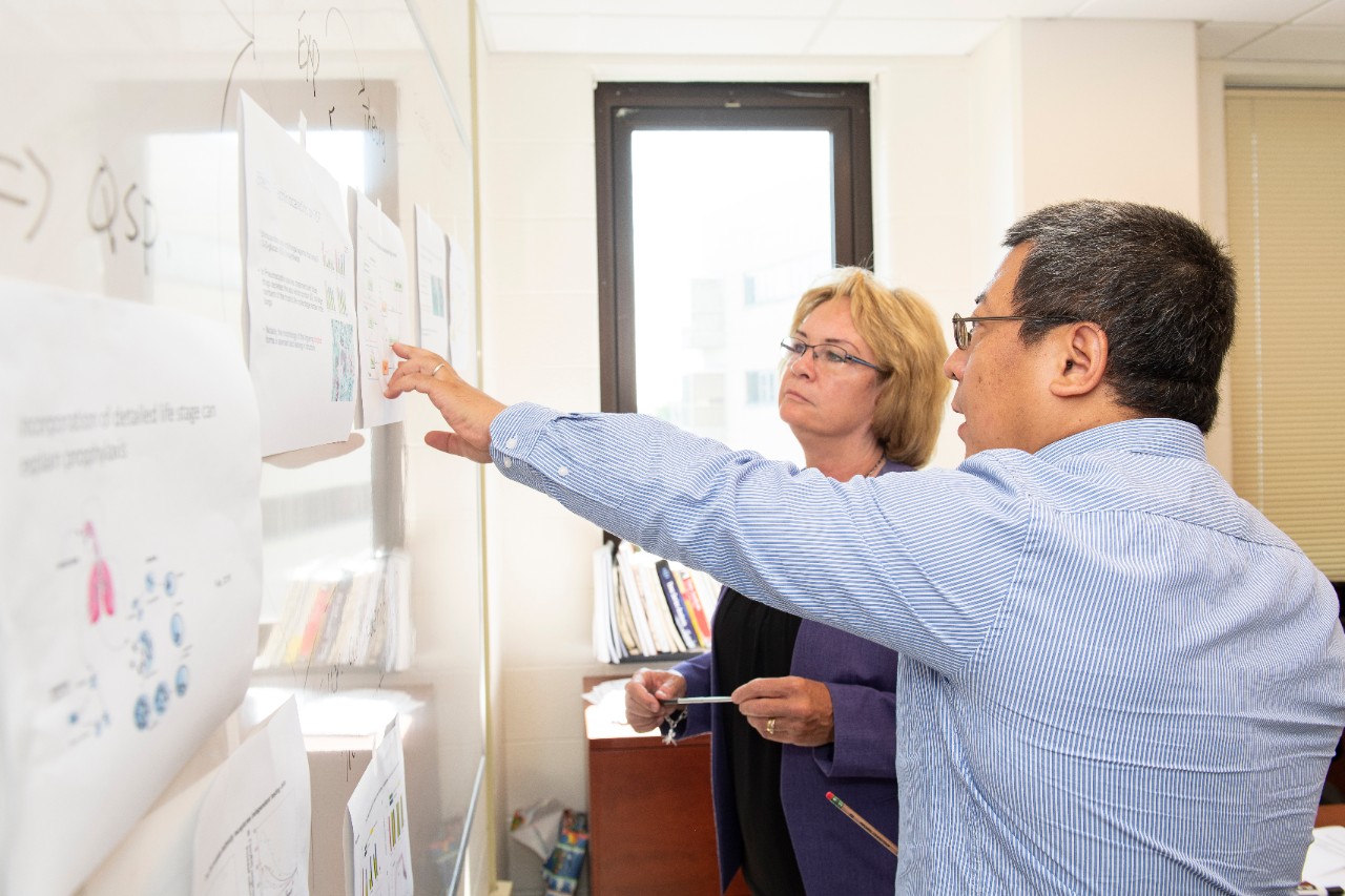 Tongli Zhang, PhD, and Melanie Cushion, PhD, working on white boad.
