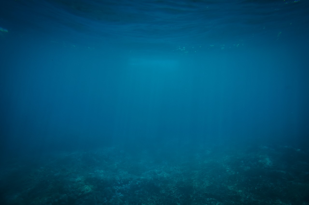 underwater image of bottom of ocean 