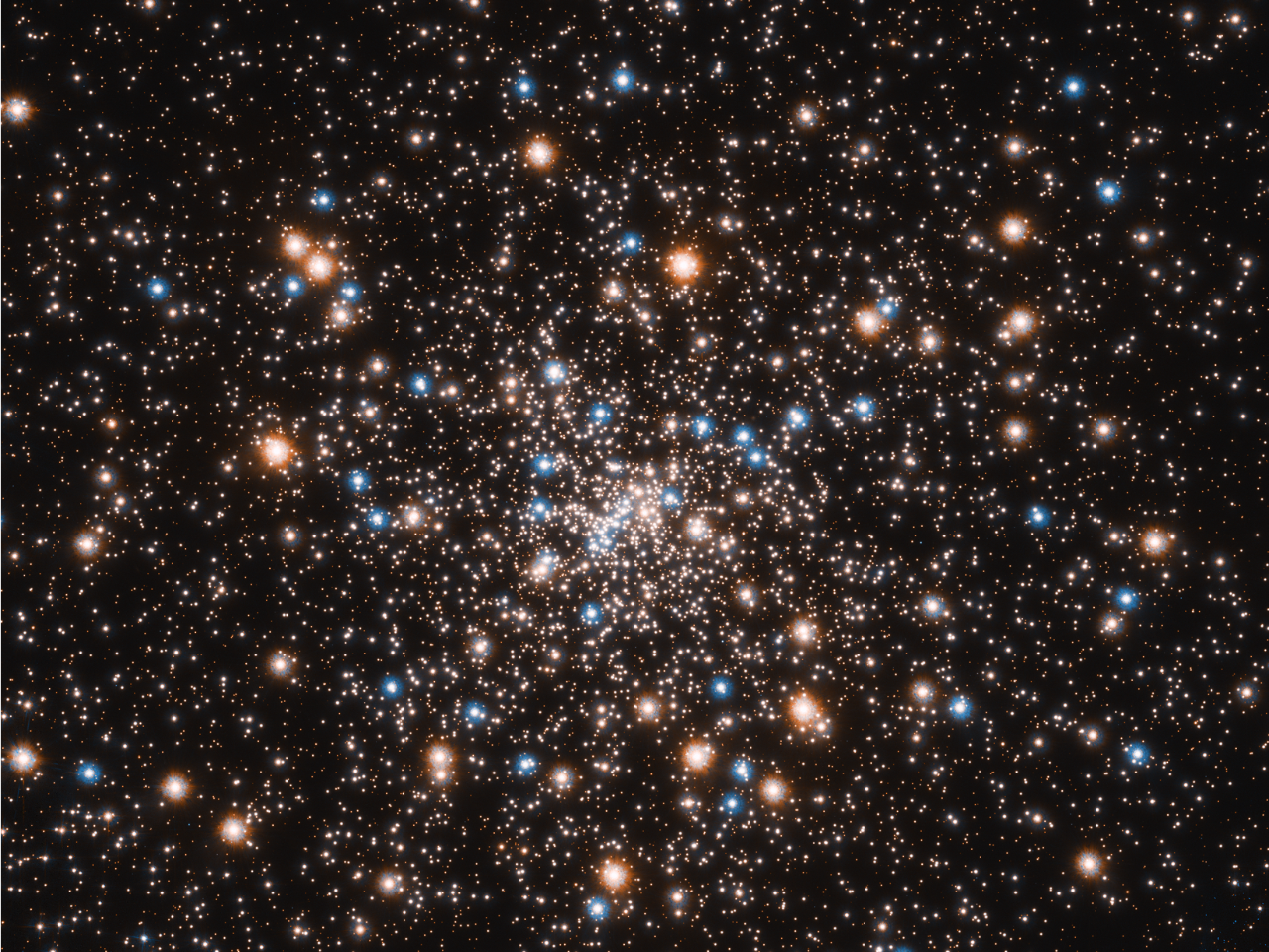 The colorful dots that make up the stars of a distant galaxy.