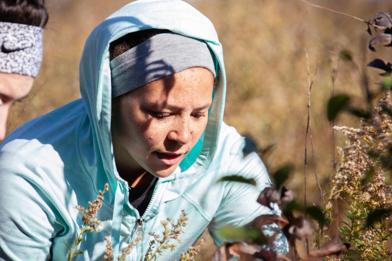 Botany class goes to UC's Center for Field Studies to collect data.
