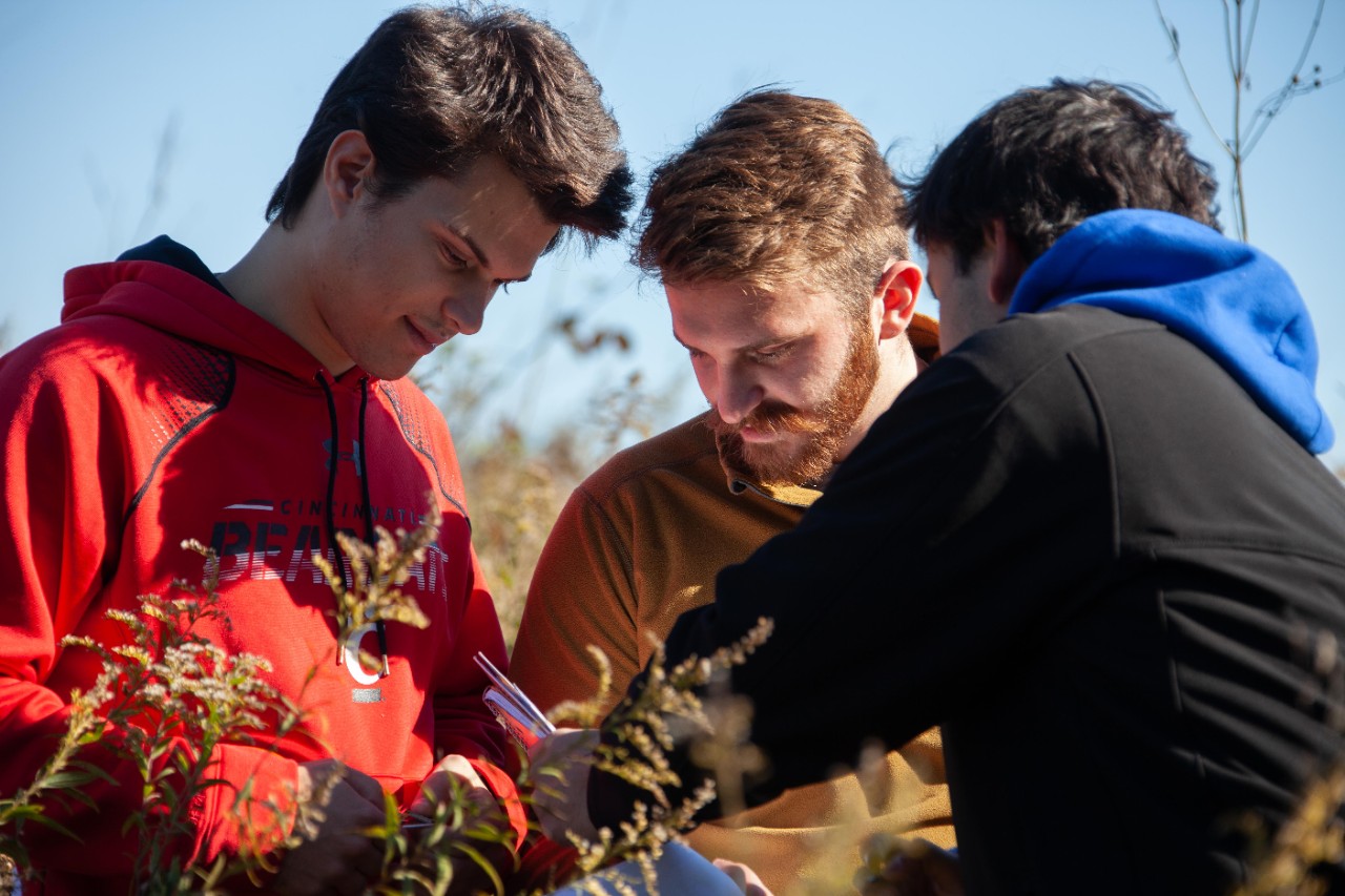 Botany class goes to UC's Center for Field Studies to collect data.