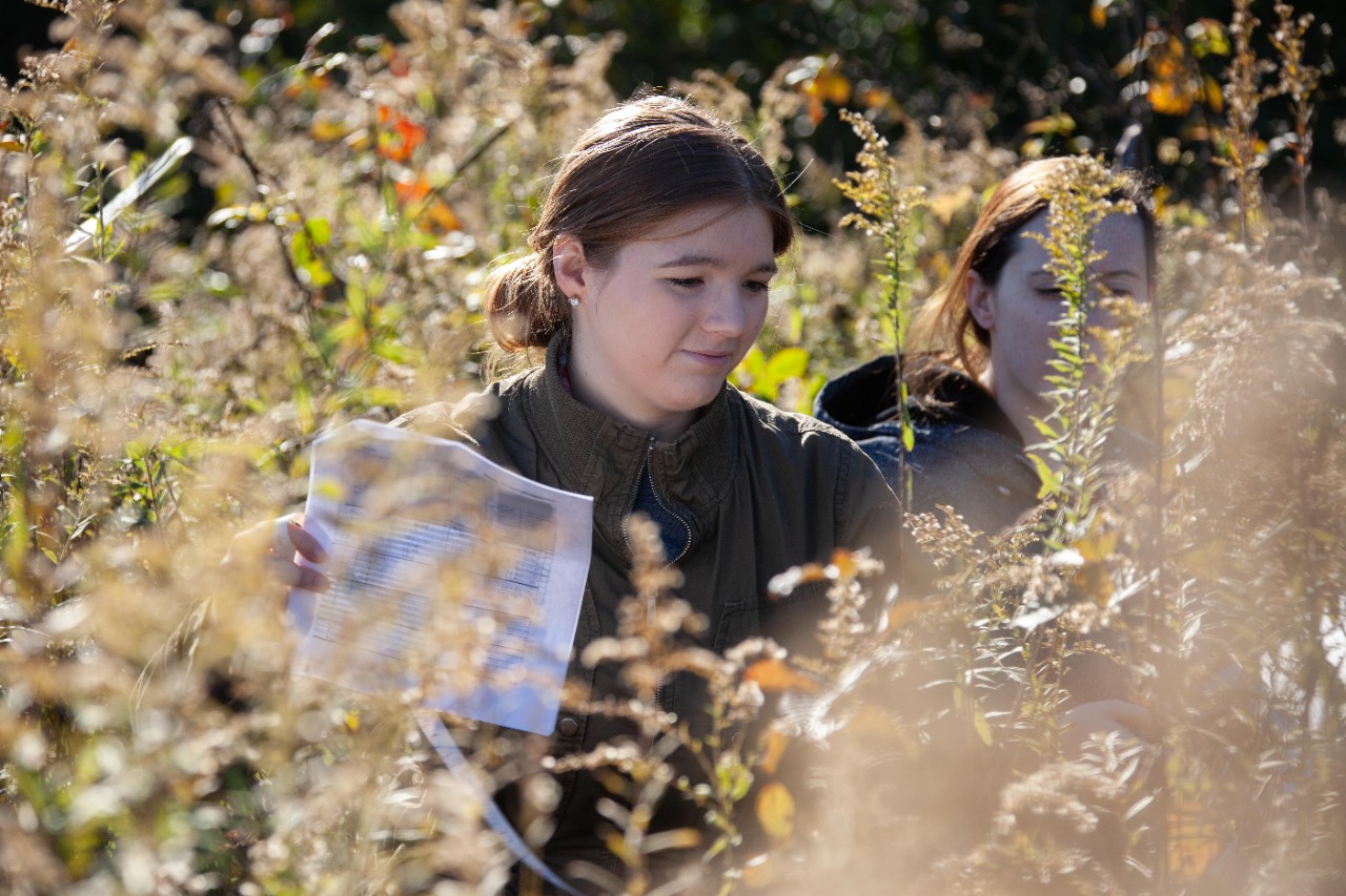 Botany class goes to UC's Center for Field Studies to collect data.
