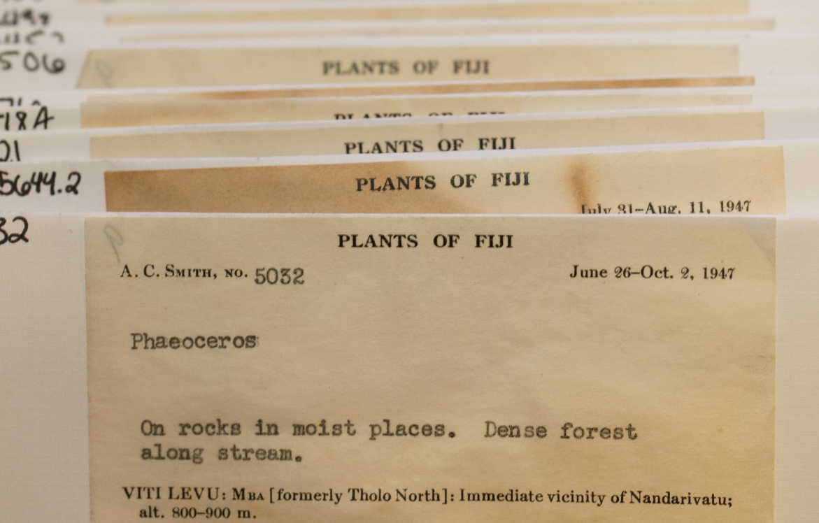 Dr. Eric Tepe gives tour of the Margaret Fulford herbarium at Crosley Tower. He discovered 9 new species of plants and contributed to a new exhibit at the Lloyd Library and Museum in Cinccinnati. 