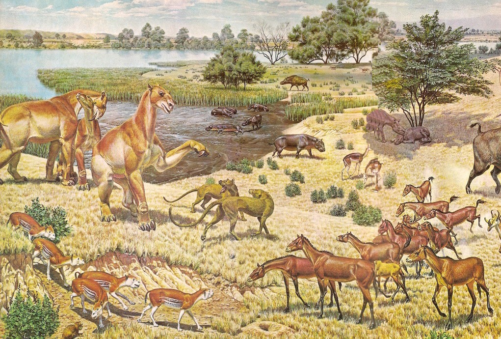 A color drawing of various wildlife from the Miocene interacting at a lake on a sunny day. 