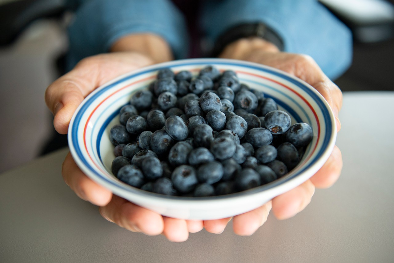 Robert Krikorian, PhD, in his office and with blueberries.