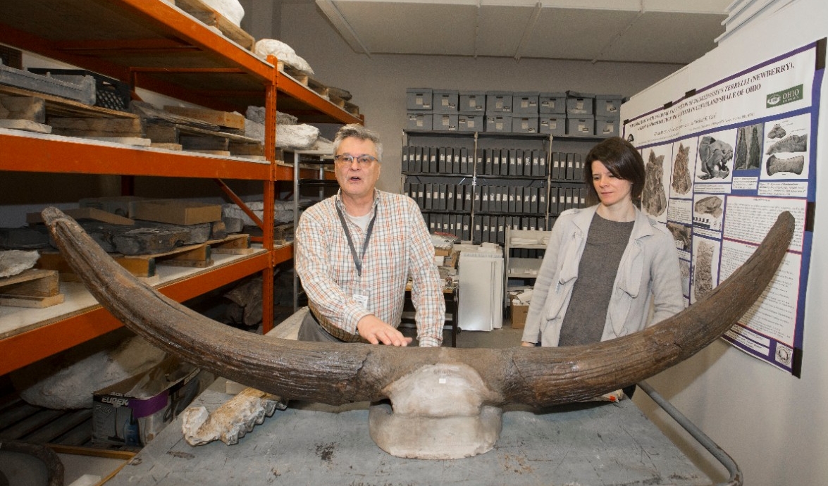 Glenn Storrs, left and Brenda Hunda curator of invertebrate paleontology at the Cincinnati Museum Center shown here with some of their fossils at the Geier Collections and Research Facility. UC/Joseph Fuqua II