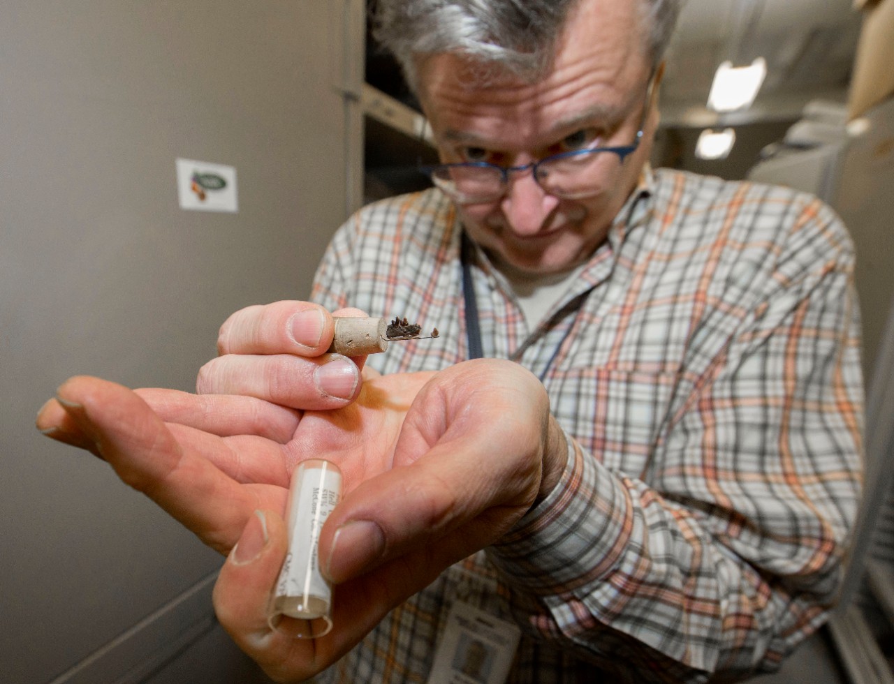 Glenn Storrs, curator of invertebrate paleontology at the Cincinnati Museum Center shown here with some of their fossils at the Geier Collections and Research Facility. UC/Joseph Fuqua II