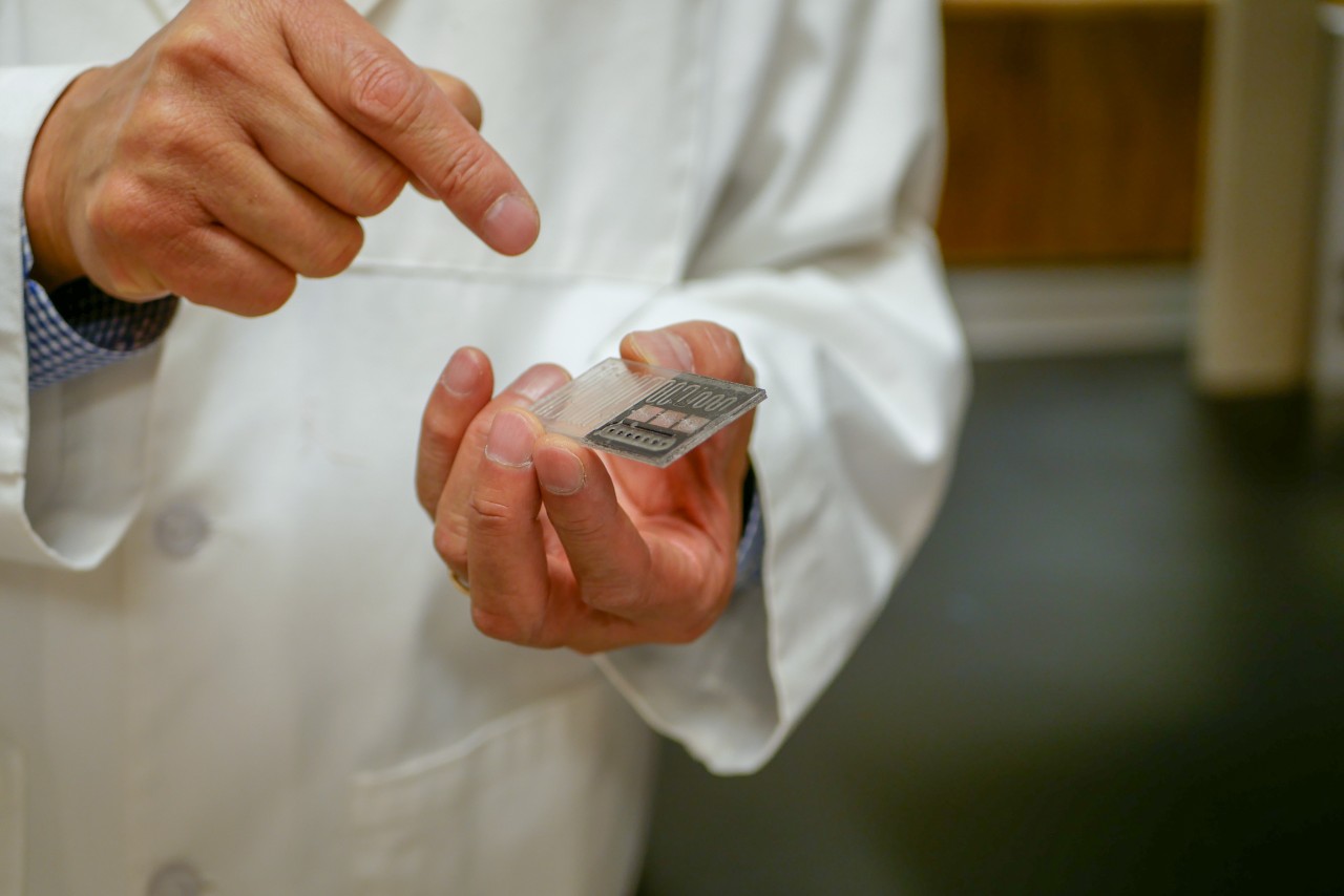 Ahn pointing to lab on a chip
