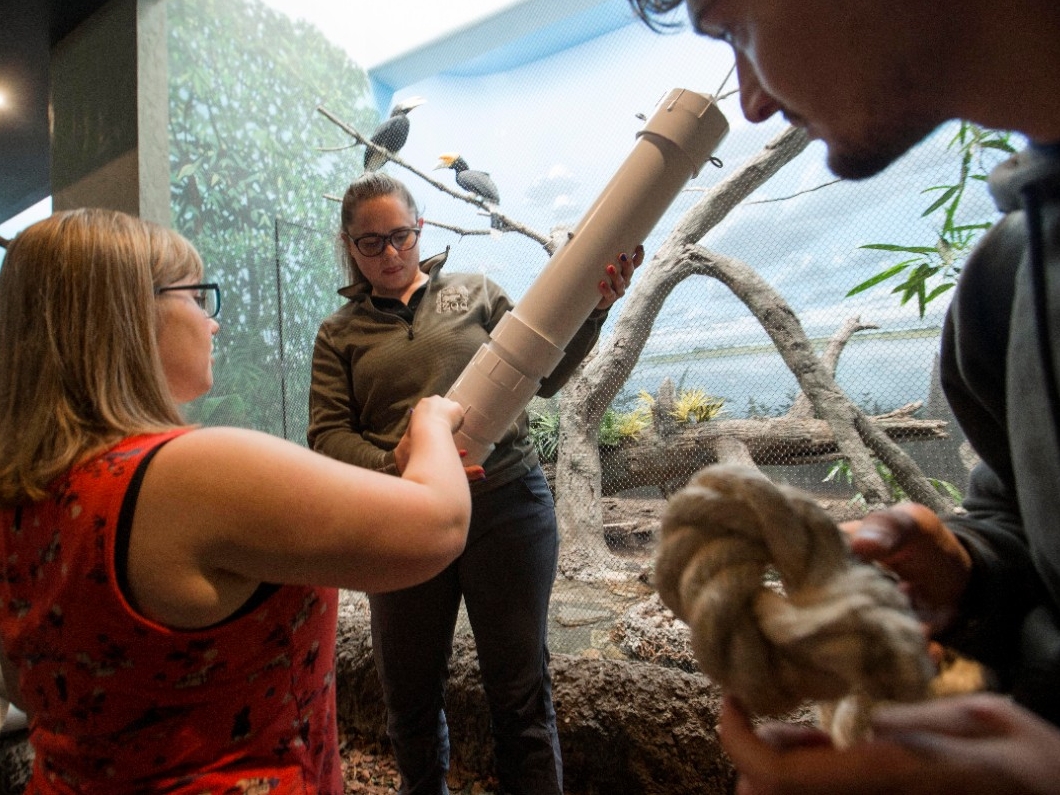 UC engineering students shown here with their Hornbills designed enrichment device at Cincinnati Zoo. UC/ Joseph Fuqua II