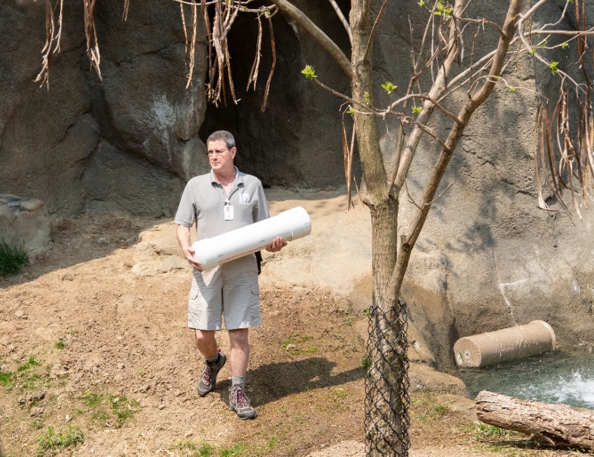 UC engineering students designed an enrichment device to help keep the zoo's tigers and penquinss stimulated. The device is a puzzle with sent and food rewards.