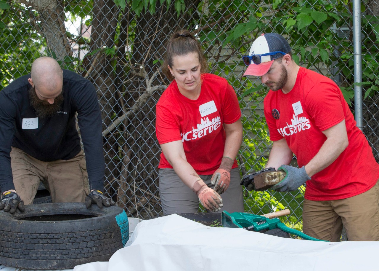 University of Cincinnati faculty and staff members give back to the community through UC Serves 2019 at the Concord Community Garden in Walnut Hills. UC/Joseph Fuqua II
