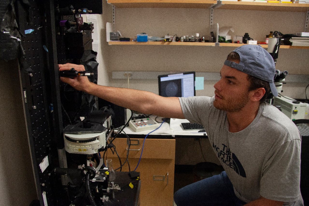 UC biology professor Elke Buschbeck on her work exploring insect eyes and diving beetles