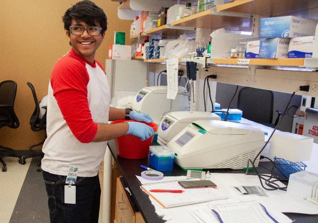 UC biology professor Elke Buschbeckwith student Shubham Rathore