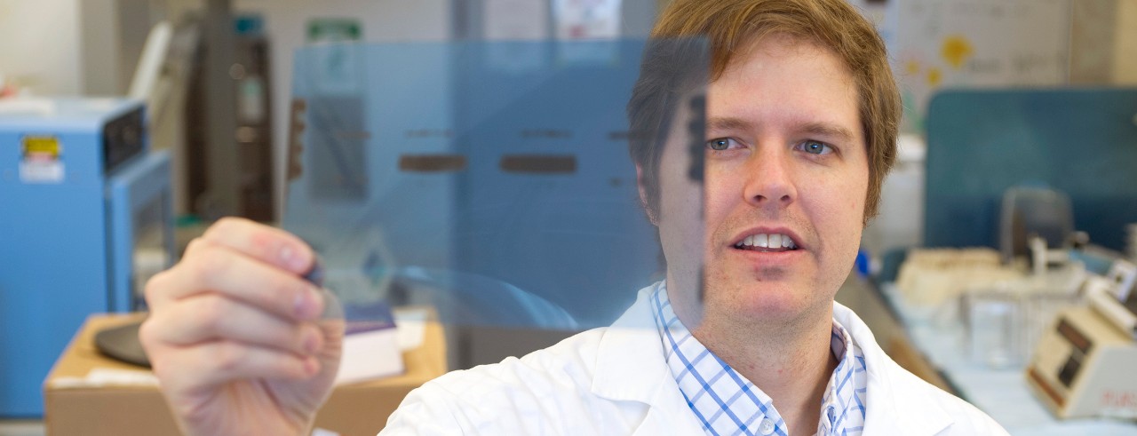 Tom Cunningham, PhD
