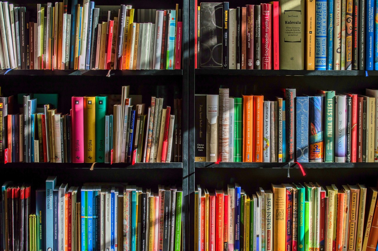 Colorful bookshelves