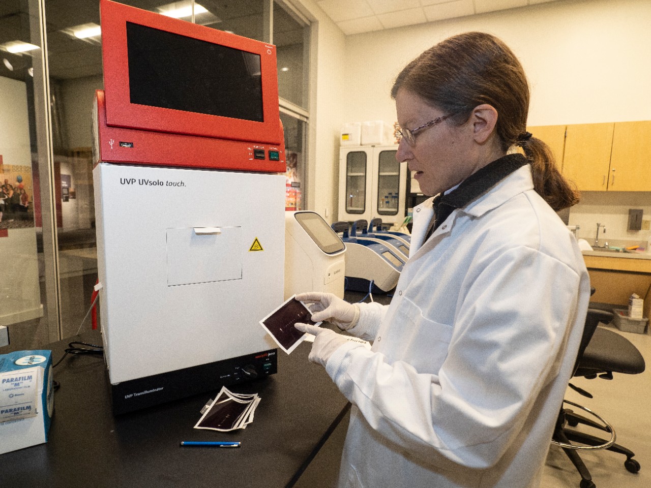 Cincinnati Museum Center  / DNA Lab / Genetics Lab / Emily Imhoff, the zoology collections manager