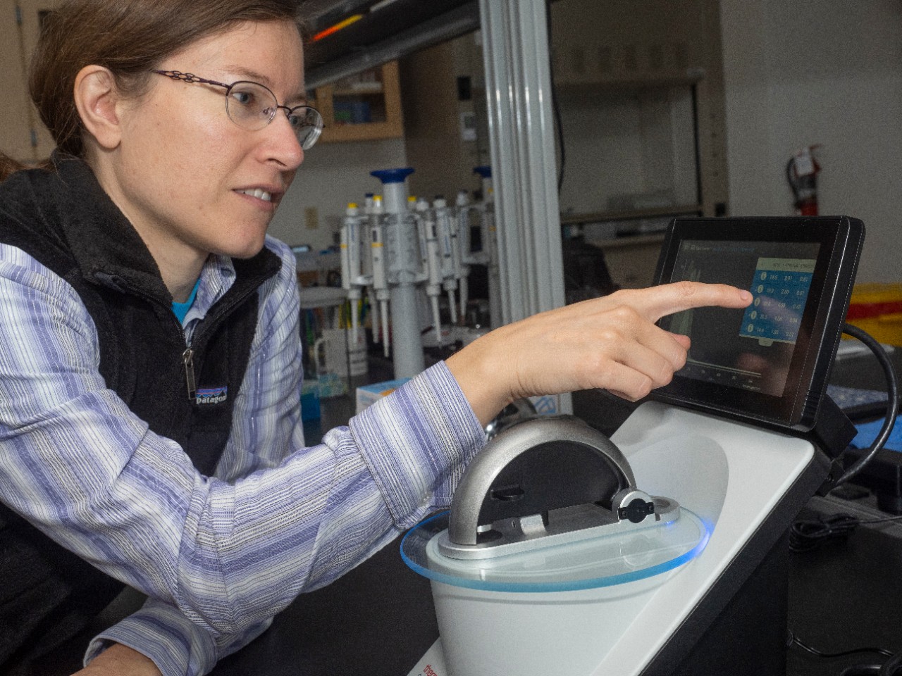 Cincinnati Museum Center  / DNA Lab / Genetics Lab / Emily Imhoff, the zoology collections manager