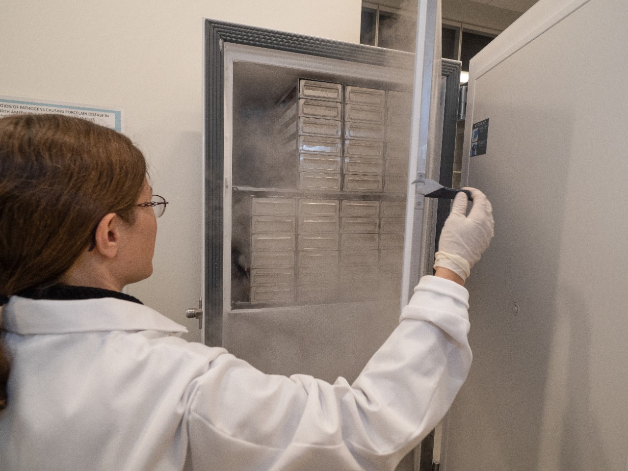 Cincinnati Museum Center  / DNA Lab / Genetics Lab / Emily Imhoff, the zoology collections manager