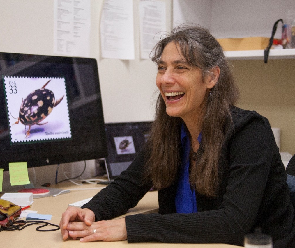 UC biology professor Elke Buschbeck on her work exploring insect eyes and diving beetles