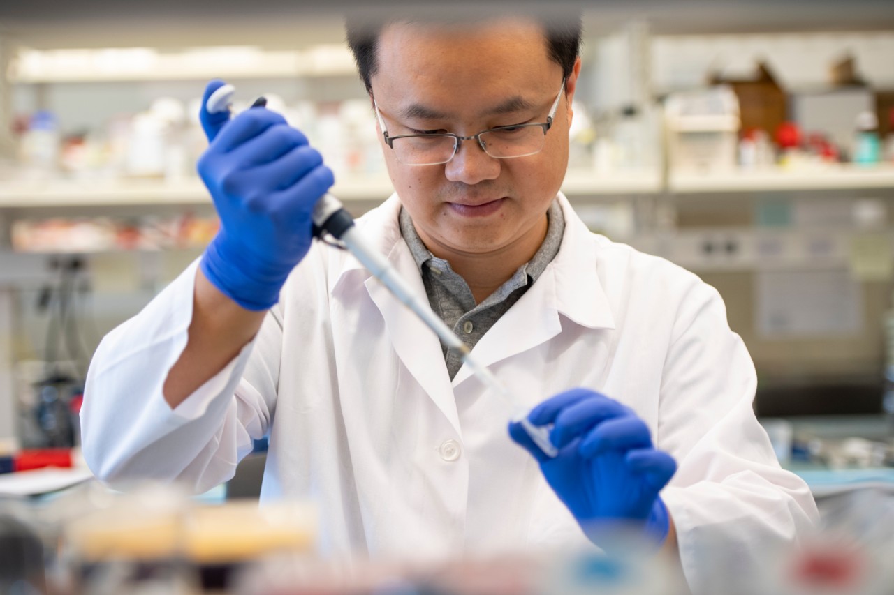Chenran Wang, PhD, in lab.