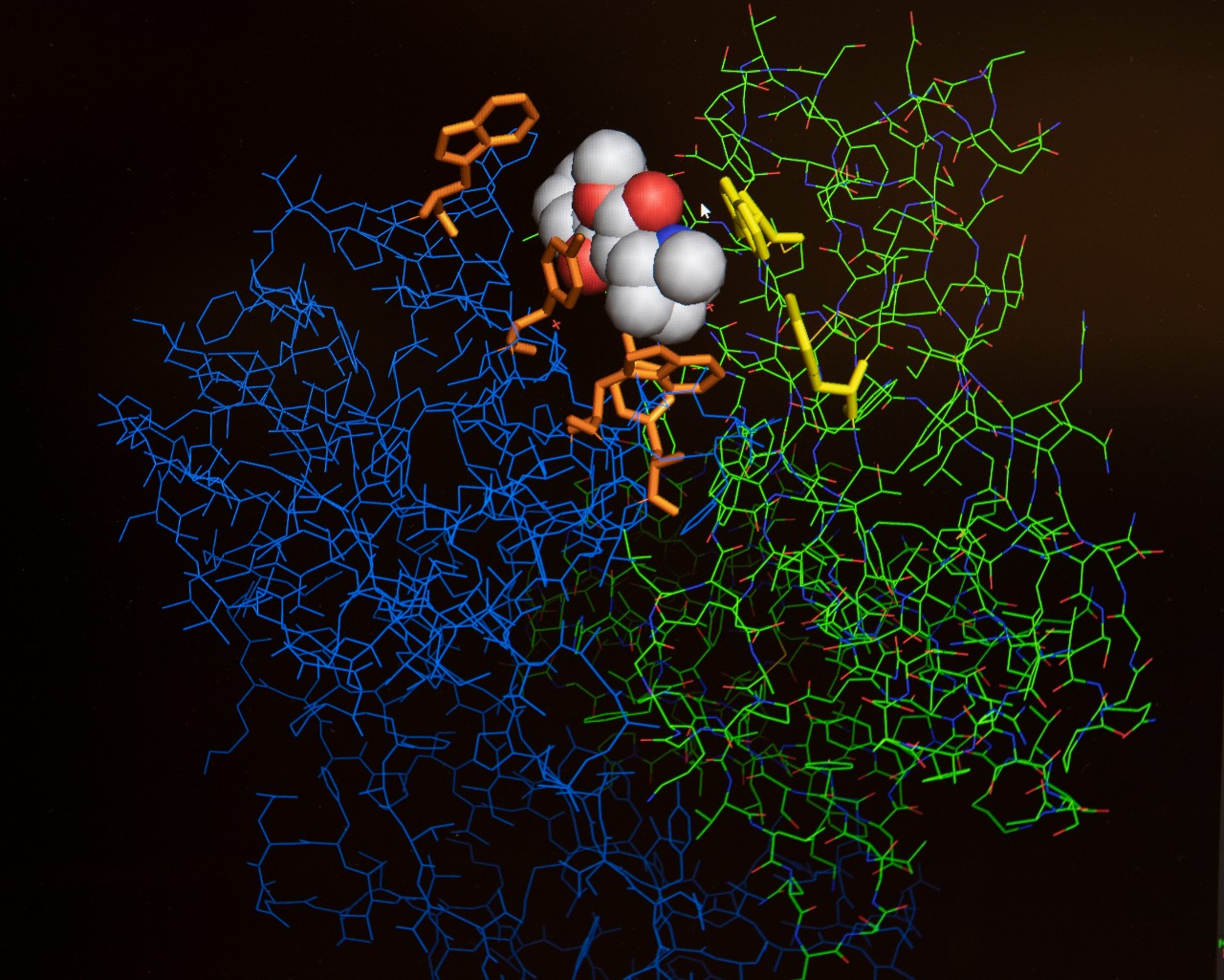 Andrew Norman, PhD, working in his lab with team.