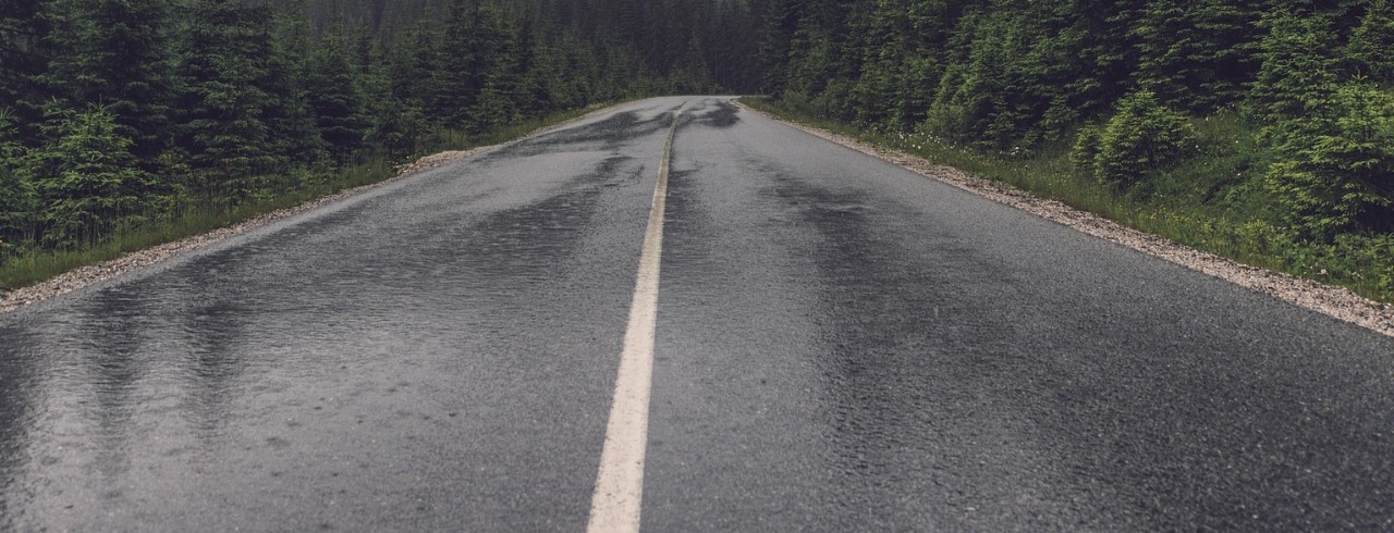 A wet road in the woods.