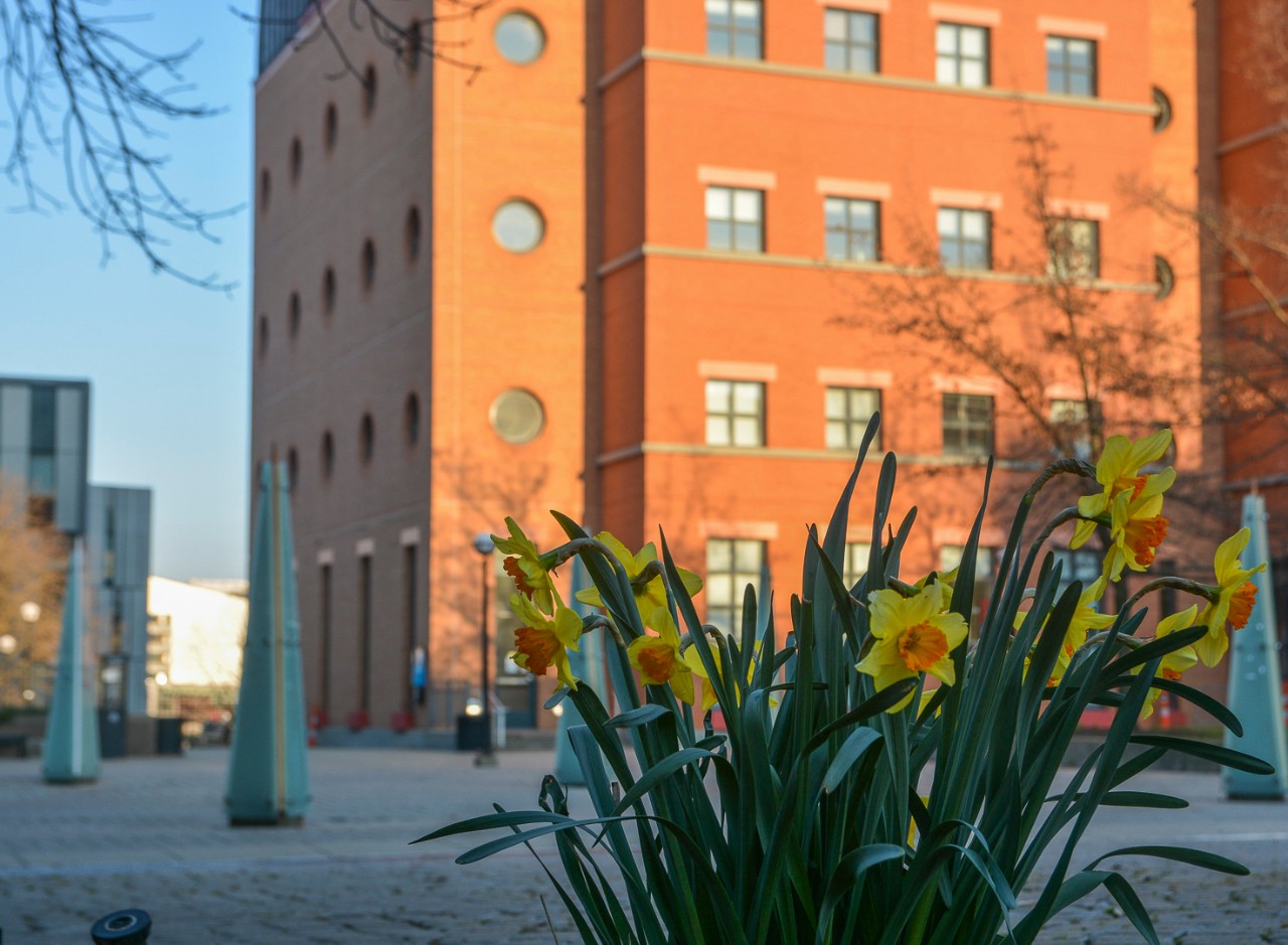 Empty UC Campus on March 23 during COVID-19 pandemic.