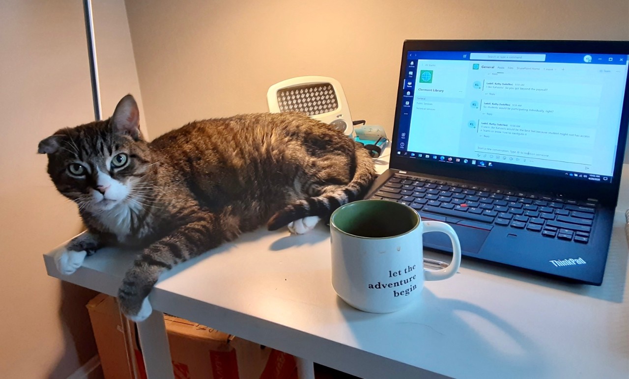 Striped cat on a table next to a laptop computer and coffee mug.