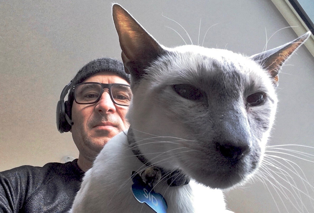 White cat in front of a man wearing earphones.