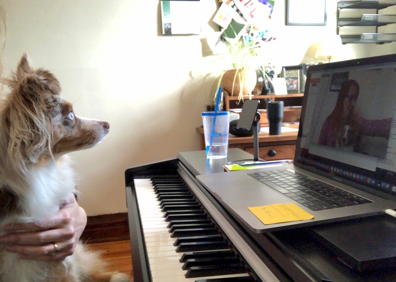 Brown dog looks at a laptop computer on top of a piano.