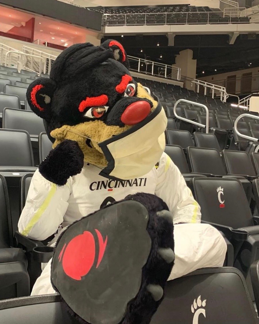 UC Bearcat sitting in sports arena wearing a PPE mask.