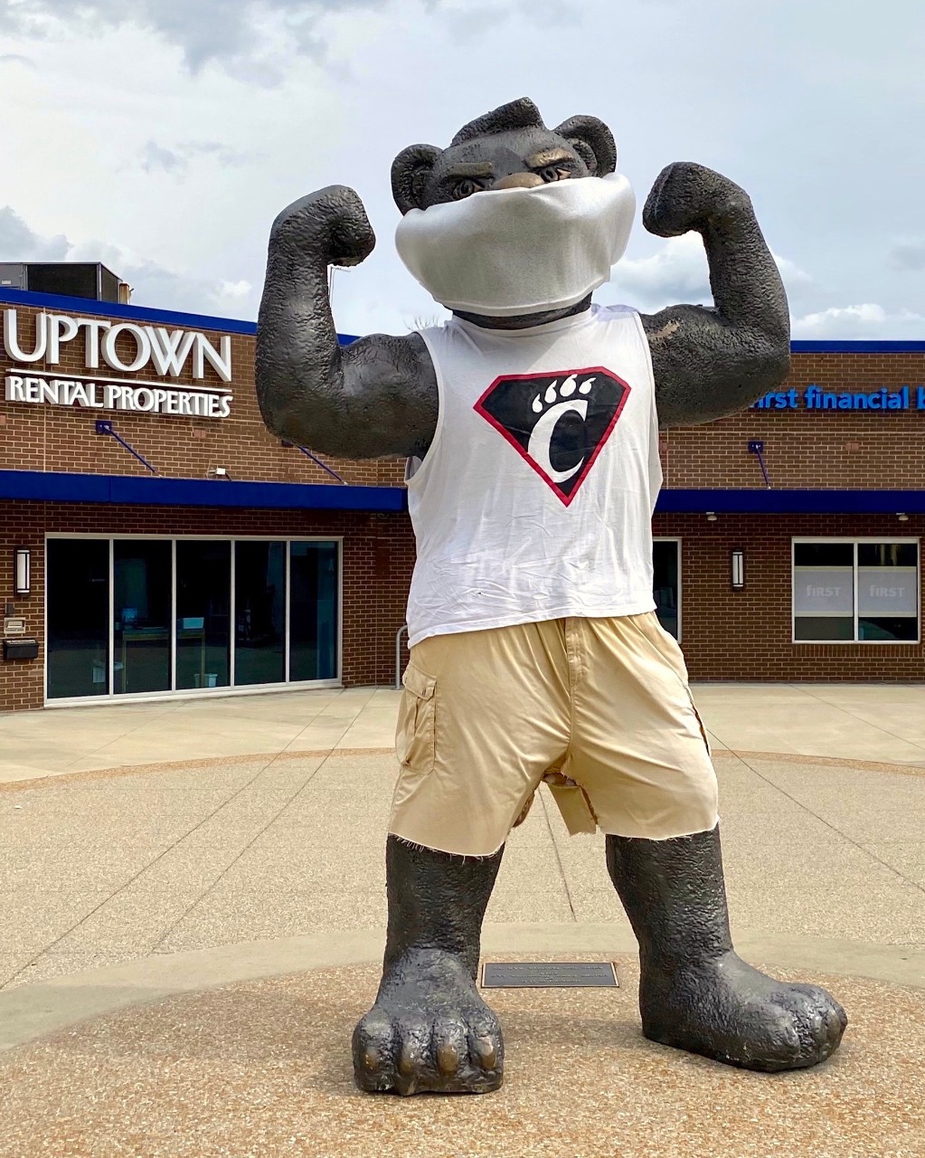 UC Bearcat mascot statue wearing C-paw shirt and PPE mask.
